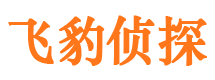 松桃市婚姻出轨调查